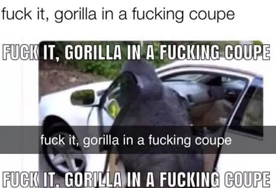 Gorilla in a black sedan with a carrot