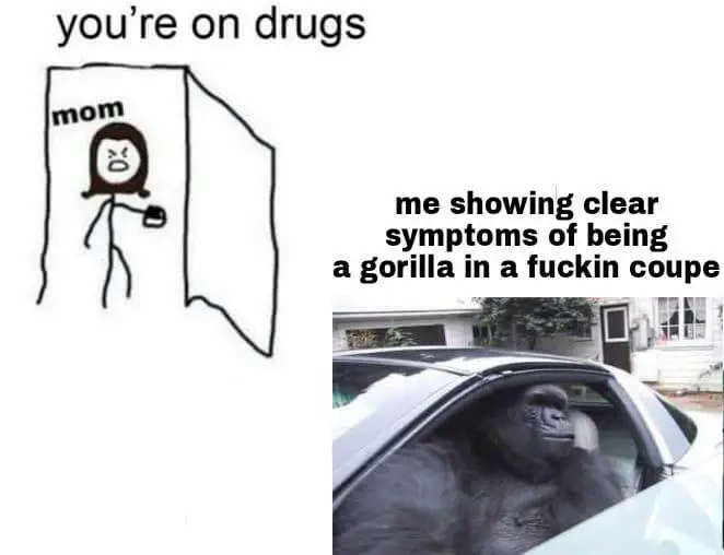 Mom thinks I'm on drugs meme, symptoms of being a gorilla in a coupe