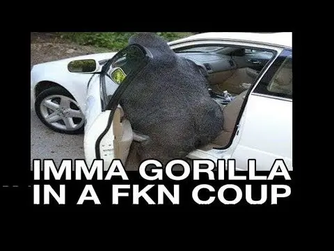 IMMA GORILLA IN A FKN COUP thumbnail