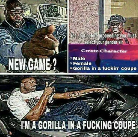 New game character select meme with gorilla in a coupe option