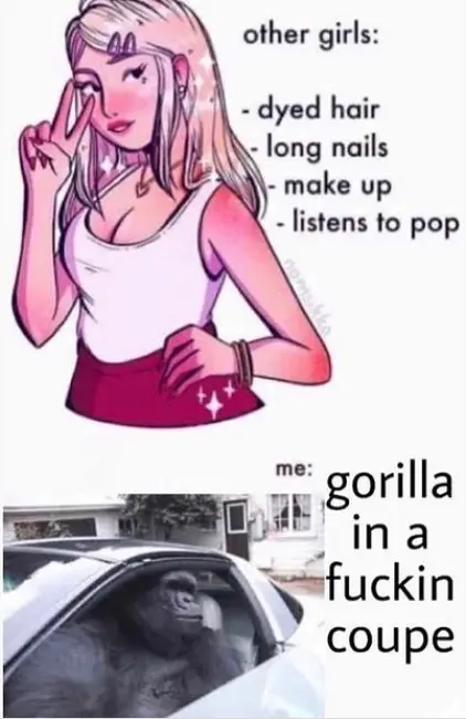 Other girls vs me: gorilla in a fuckin coupe