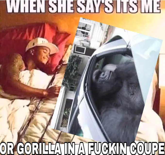 When she says it's me or the gorilla in a coupe meme