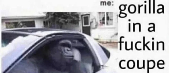 Who is winning meme with gorilla in coupe