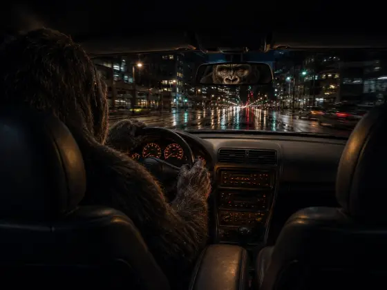 Gorilla eyes in the rear view mirror
