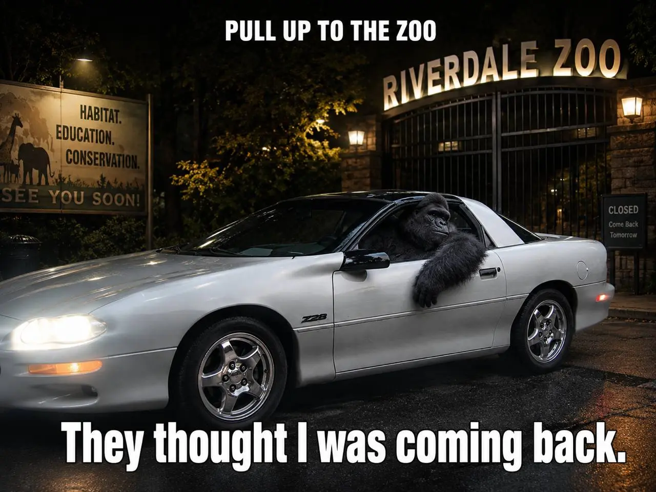 The gorilla in her Camaro parked outside the closed zoo gates